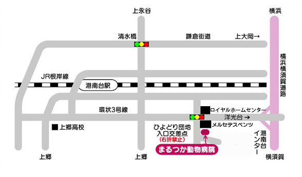 まるつか動物病院の地図