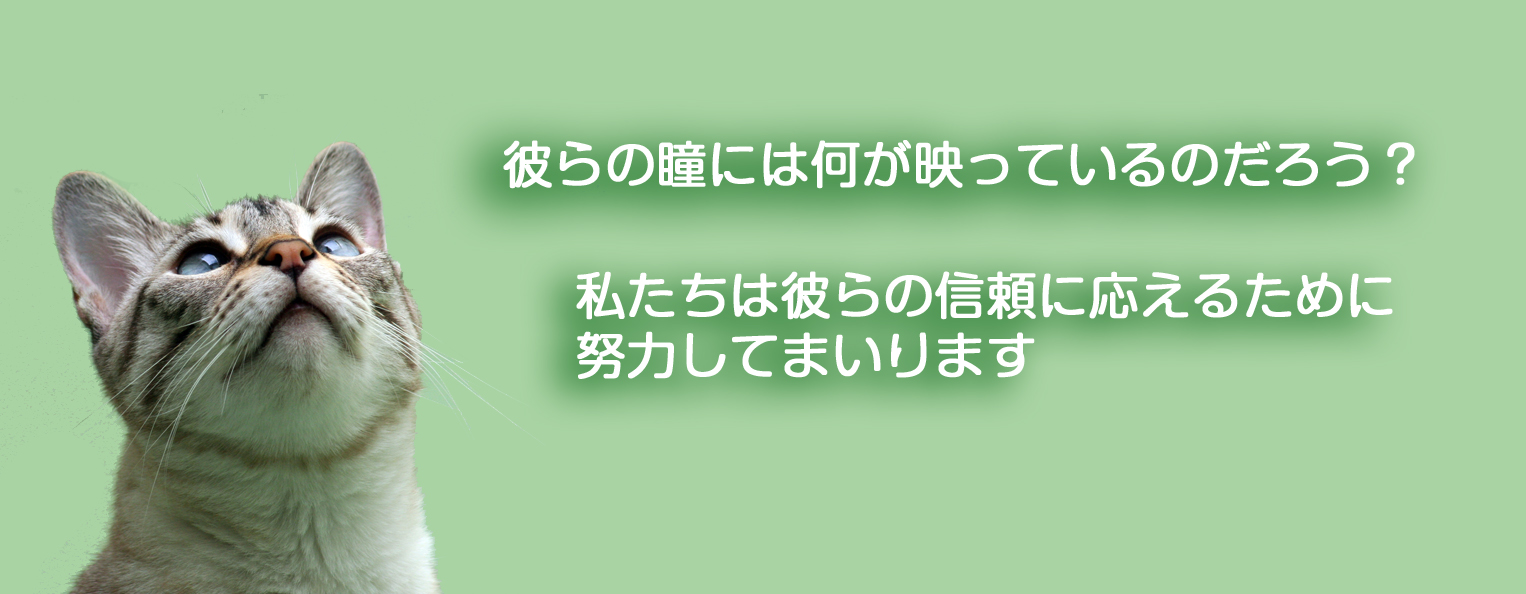 横浜市港南区港南台のまるつか動物病院